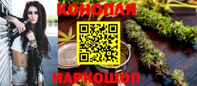 сатива Бузулук