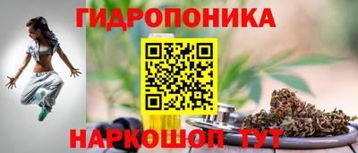 сатива Бузулук
