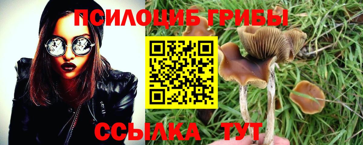 Тельмана  Псилоцибиновые грибы GOLDEN TEACHER  Вход с VPN 